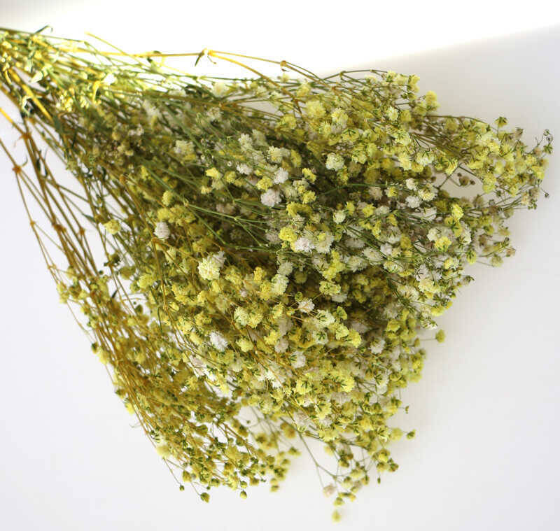 Şoklanmis Cipso Demeti Sarı - 2