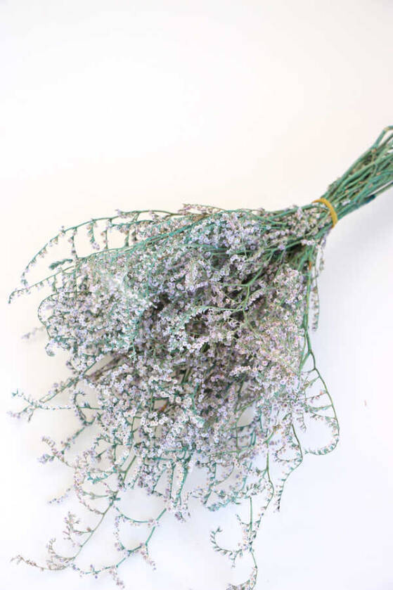 Şoklanmış Deniz Otu Demeti 80gr Mavi - 1