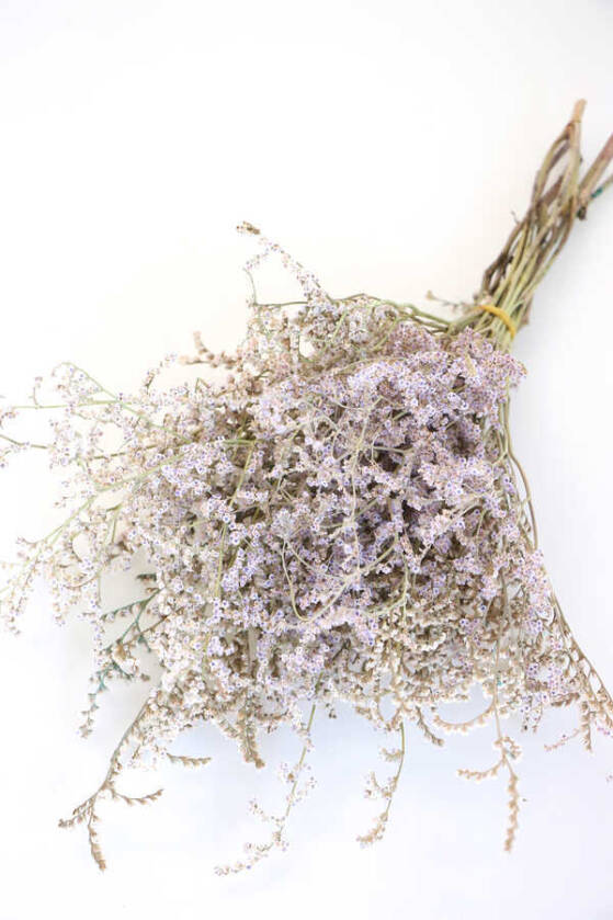 Şoklanmış Deniz Otu Demeti 80gr Naturel - 1