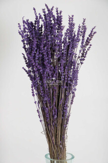 Şoklanmış Dökülmeye Dayanıklı Gerçek Lavanta Demeti Canlı Mor (100 gr) - Yapay Çiçek Sitesi