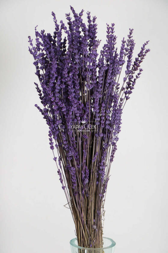 Şoklanmış Dökülmeye Dayanıklı Gerçek Lavanta Demeti Canlı Mor (100 gr) - 1