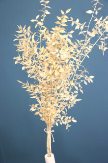 Şoklanmış Ruscus Aculeatus Kokina Krem-Beyaz - Yapay Çiçek Sitesi