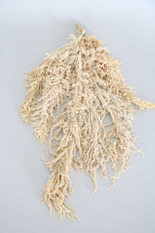 Şoklanmış Sarkan Amaranthus Demeti Beyaz-Krem - Yapay Çiçek Sitesi