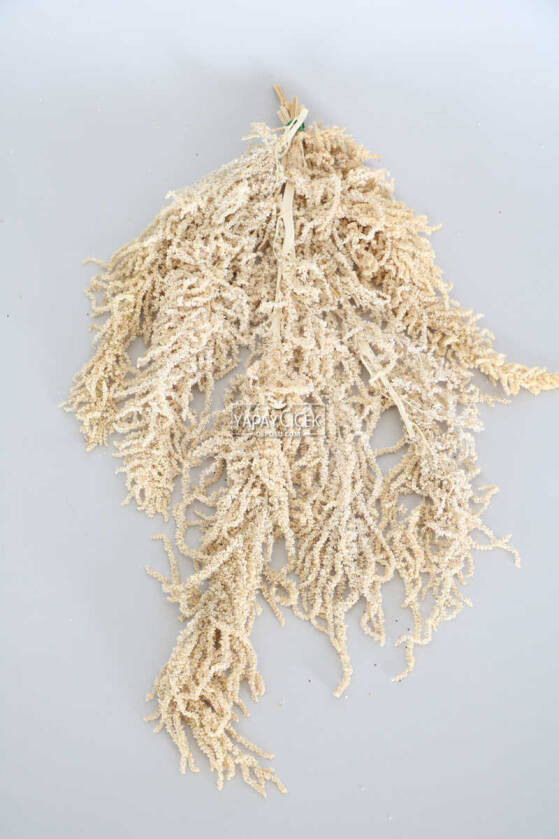 Şoklanmış Sarkan Amaranthus Demeti Beyaz-Krem - 1