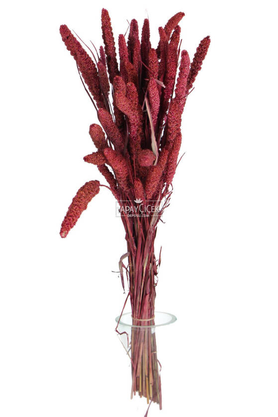 Şoklanmış Setteria Boncuk Demeti 100 gr Bordo - 1