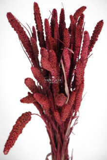 Şoklanmış Setteria Boncuk Demeti 100 gr Bordo - 2