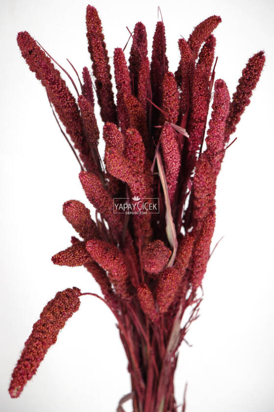 Şoklanmış Setteria Boncuk Demeti 100 gr Bordo - 2