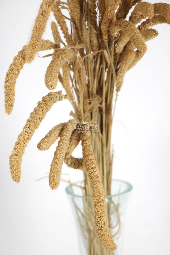 Şoklanmış Setteria Boncuk Demeti 100 gr Naturel - 2