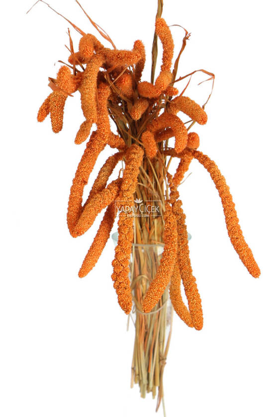 Şoklanmış Setteria Boncuk Demeti 100 gr Turuncu - 1