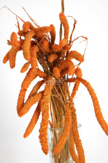 Şoklanmış Setteria Boncuk Demeti 100 gr Turuncu - 2