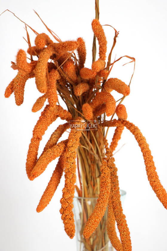 Şoklanmış Setteria Boncuk Demeti 100 gr Turuncu - 2