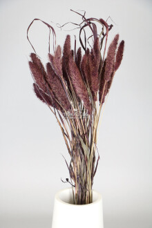 Şoklanmış Setteria(Pamuk) Demeti 75 gr Mürdüm - Yapay Çiçek Sitesi