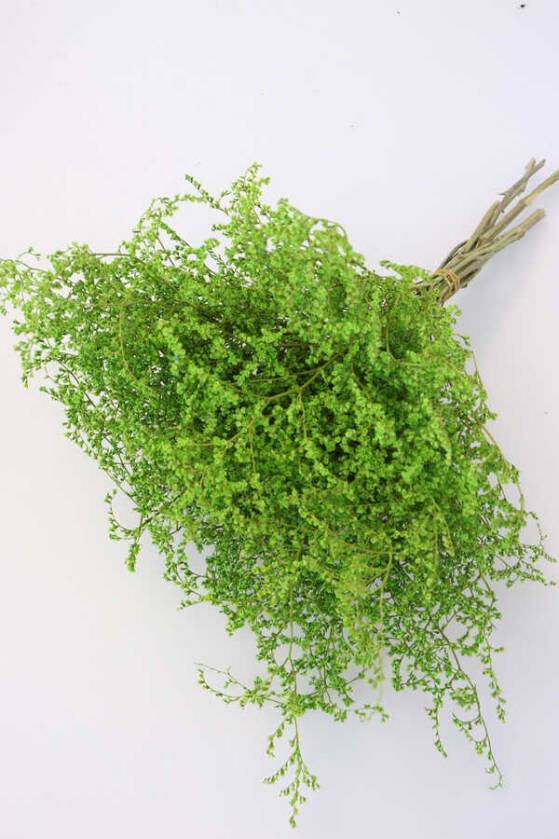 Şoklanmıs Tatarika Demeti 80gr(Dökülmez) Fıstık Yeşili - 1