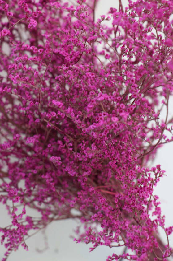 Şoklanmıs Tatarika Demeti 80gr(Dökülmez) Fuşya - 2