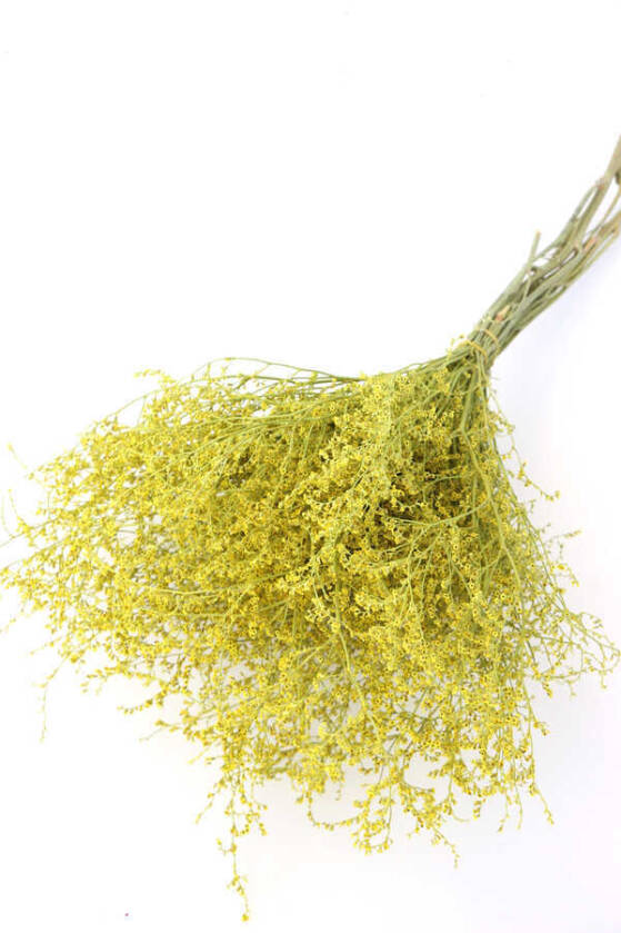 Şoklanmıs Tatarika Demeti 80gr(Dökülmez) Sarı - 1