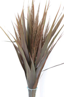 Şoklanmış Yapraklı 10lu Pampas Demeti 95 cm Kızıl-Kahve - Yapay Çiçek Sitesi