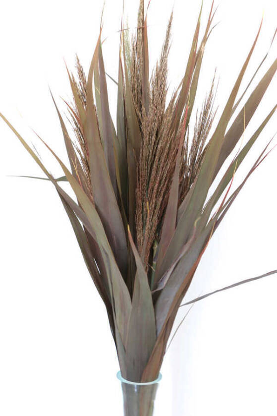 Şoklanmış Yapraklı 10lu Pampas Demeti 95 cm Kızıl-Kahve - 1