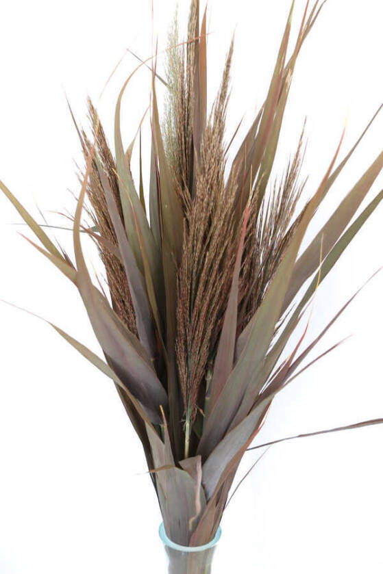 Şoklanmış Yapraklı 10lu Pampas Demeti 95 cm Kızıl-Kahve - 2