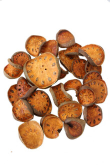 Tropic Kuru Bell Cup Slice Paket (200gr) - Yapay Çiçek Sitesi