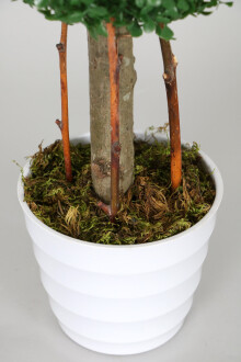 Yapay 2 Katlı Mini Şimşir Ağacı 80 cm Beyaz Saksılı - 3