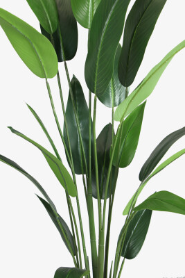 Antrasit Saksıda Yapay 20 Yapraklı Starliçe Ağacı 180 cm - 3