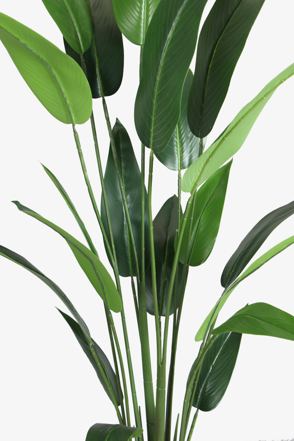 Antrasit Saksıda Yapay 20 Yapraklı Starliçe Ağacı 180 cm - 3