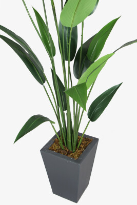 Antrasit Saksıda Yapay 20 Yapraklı Starliçe Ağacı 180 cm - 2