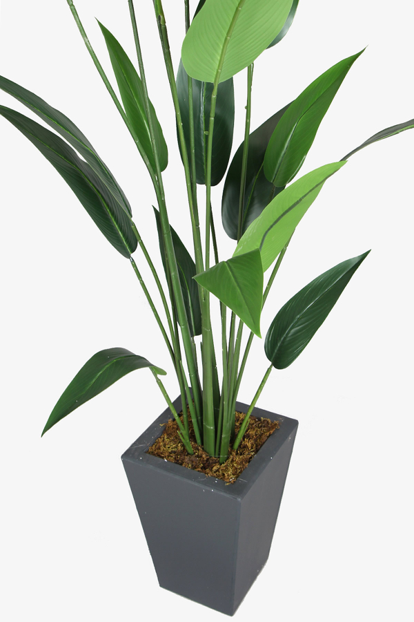 Antrasit Saksıda Yapay 20 Yapraklı Starliçe Ağacı 180 cm - 2