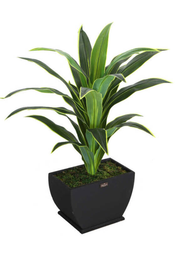 Yapay Ağaç Kaliteli Drecina Ağacı Siyah Ahsap Saksıda 120cm - 1