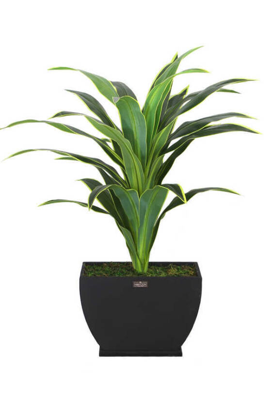 Yapay Ağaç Kaliteli Drecina Ağacı Siyah Ahsap Saksıda 120cm - 2