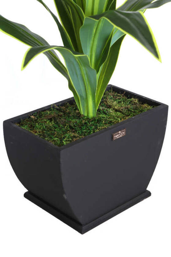 Yapay Ağaç Kaliteli Drecina Ağacı Siyah Ahsap Saksıda 120cm - 4