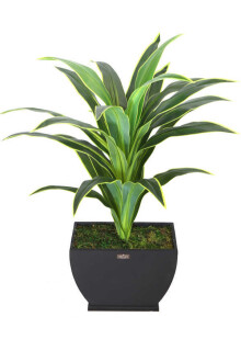 Yapay Ağaç Kaliteli Drecina Ağacı Siyah Ahsap Saksıda 120cm - 5