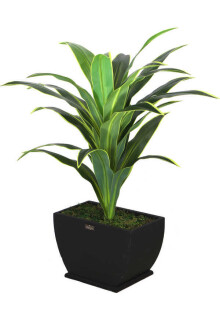 Yapay Ağaç Kaliteli Drecina Ağacı Siyah Ahsap Saksıda 120cm - 6