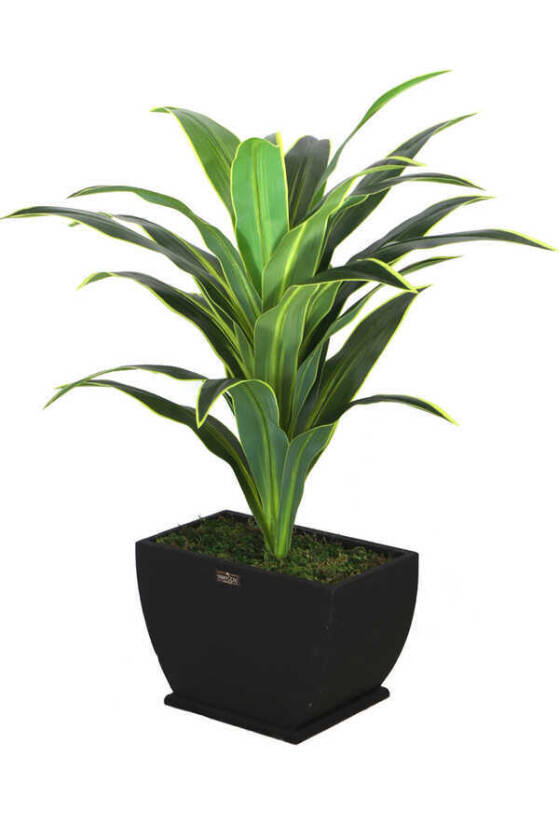 Yapay Ağaç Kaliteli Drecina Ağacı Siyah Ahsap Saksıda 120cm - 6