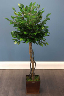 Yapay Bodur Benjamin Ağacı 130 cm (Ficus Benjamina) - Yapay Çiçek Sitesi