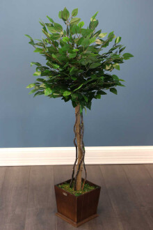 Yapay Bodur Benjamin Ağacı 130 cm (Ficus Benjamina) - 2