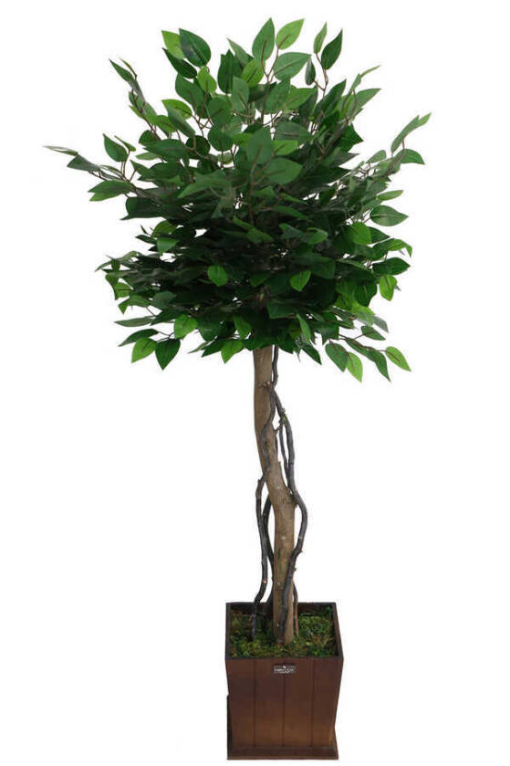 Yapay Bodur Benjamin Ağacı 130 cm (Ficus Benjamina) - 3