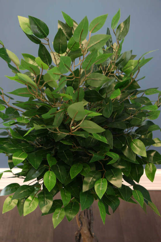 Yapay Bodur Benjamin Ağacı 130 cm (Ficus Benjamina) - 4