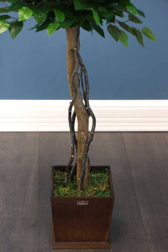 Yapay Bodur Benjamin Ağacı 130 cm (Ficus Benjamina) - 5
