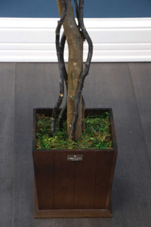 Yapay Bodur Benjamin Ağacı 130 cm (Ficus Benjamina) - 6