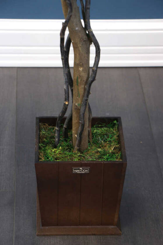 Yapay Bodur Benjamin Ağacı 130 cm (Ficus Benjamina) - 6