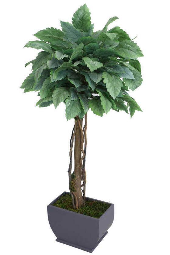 Yapay Bodur Ceviz Ağacı Yeşil-Gri 150cm - 2