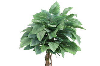 Yapay Bodur Ceviz Ağacı Yeşil-Gri 150cm - 3