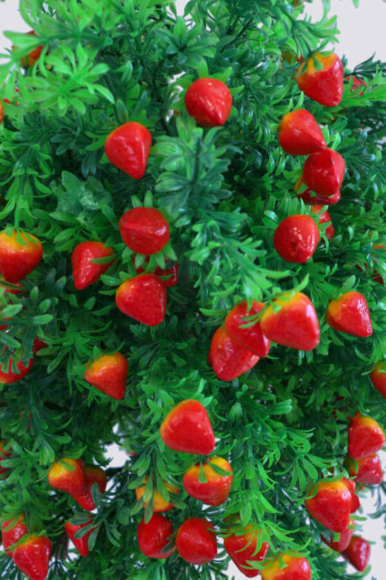 Yapay Bodur Çilek Ağacı Melamin Saksıda 100 cm - 3