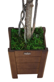 Yapay Bodur Çınar Ağacı 110 cm Kiremit - 4