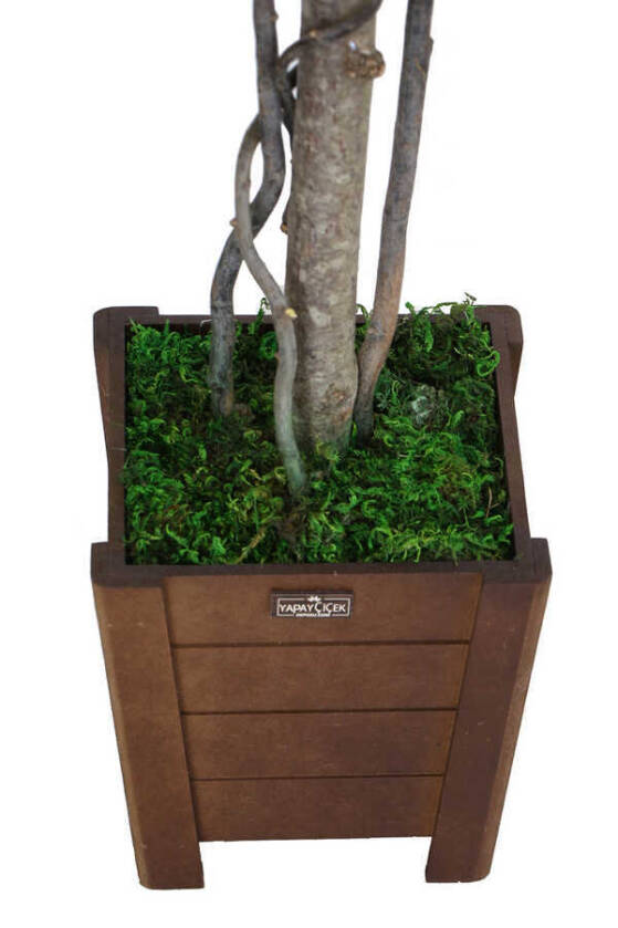 Yapay Bodur Çınar Ağacı 110 cm Kiremit - 4