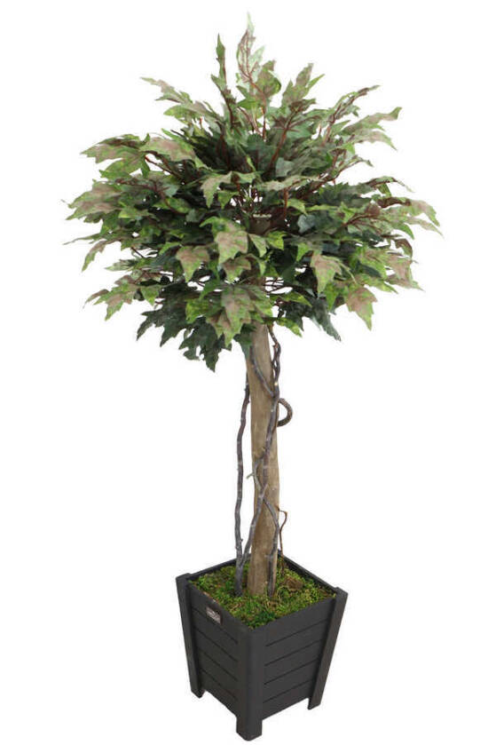 Yapay Bodur Çınar Ağacı 140 cm Yeşil-Kiremit - 2