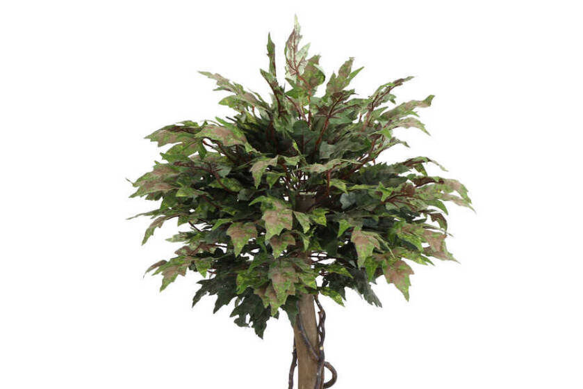 Yapay Bodur Çınar Ağacı 140 cm Yeşil-Kiremit - 3