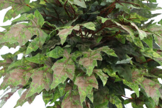 Yapay Bodur Çınar Ağacı 140 cm Yeşil-Kiremit - 4