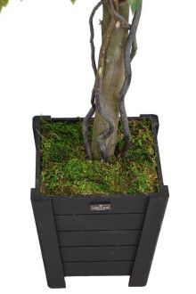 Yapay Bodur Çınar Ağacı 140 cm Yeşil-Sarı - 5